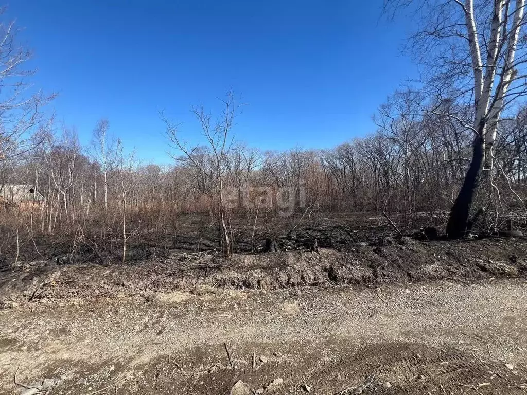 Участок в Приморский край, Надеждинский район, Ветеран-3 СНТ  (10.0 ... - Фото 0