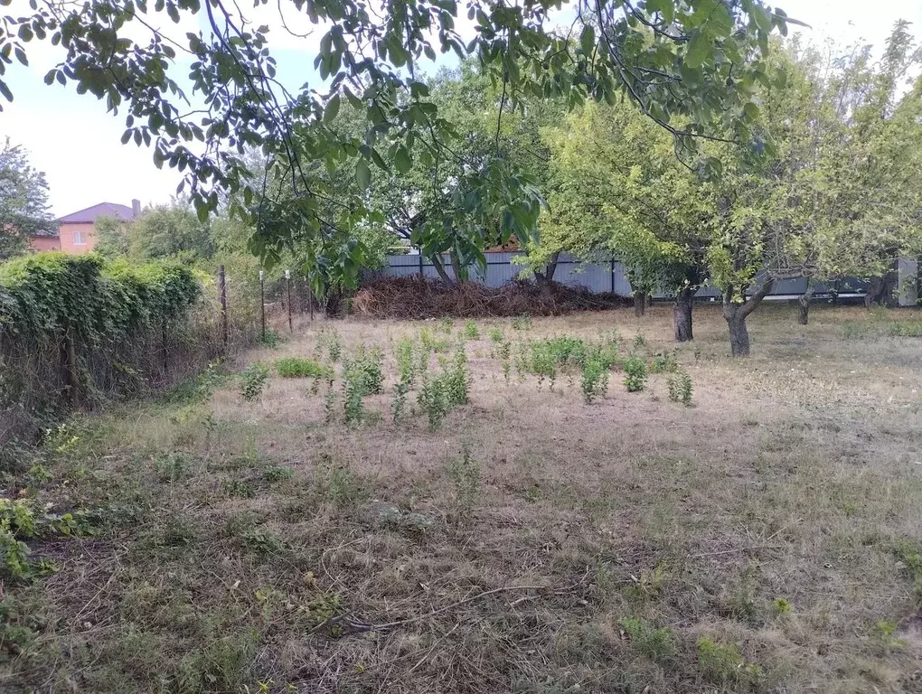 Участок в Ростовская область, Ростов-на-Дону ул. 5-я Турнирная (6.0 ... - Фото 2