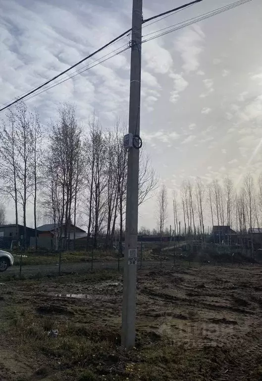 Участок в Ленинградская область, Всеволожский район, Лесколовское ... - Фото 0