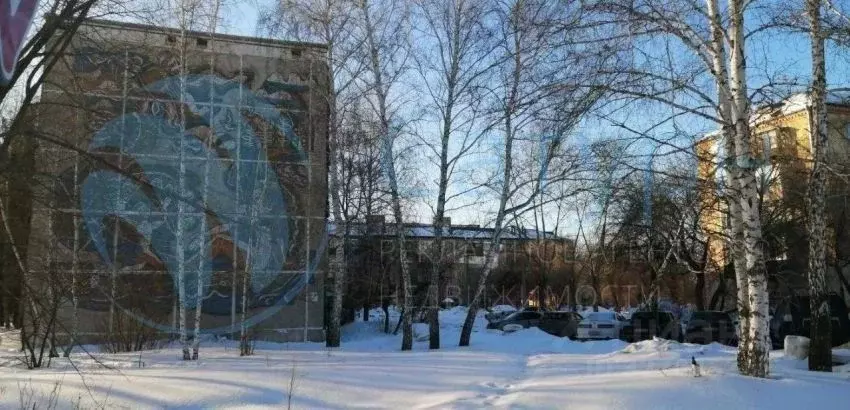 3-к кв. Курганская область, Кетовский муниципальный округ, с. ... - Фото 2