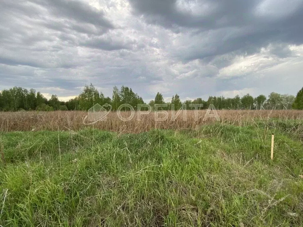 Участок в Тюменская область, Тюменский район, с. Каменка  (12.7 сот.) - Фото 0