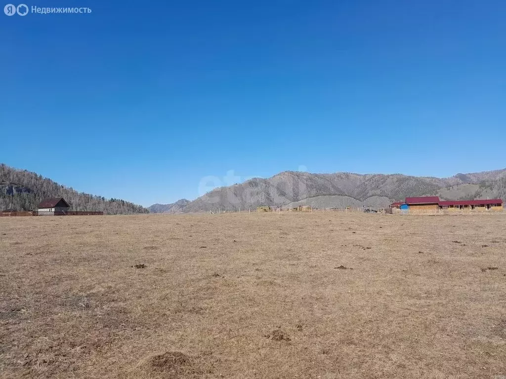 Участок в Чемальский район, село Анос (12 м) - Фото 2