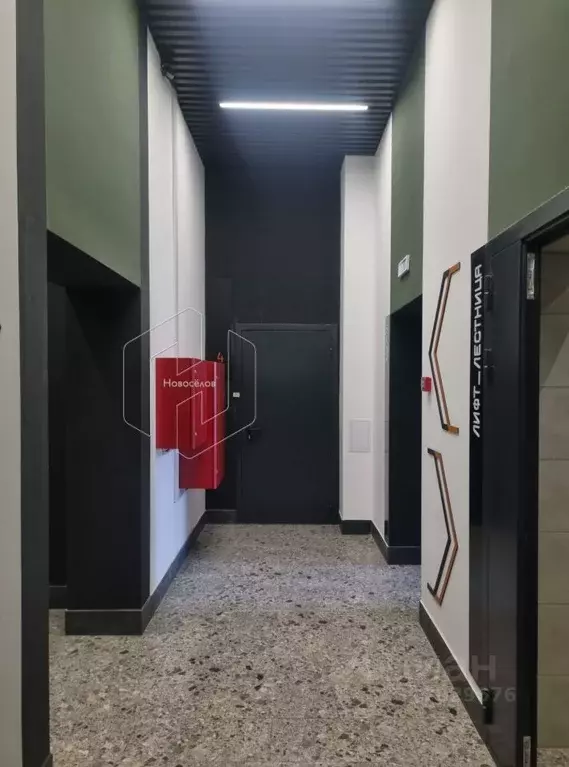 Студия Мордовия, Саранск просп. 70 лет Октября, 171/2 (35.1 м) - Фото 2