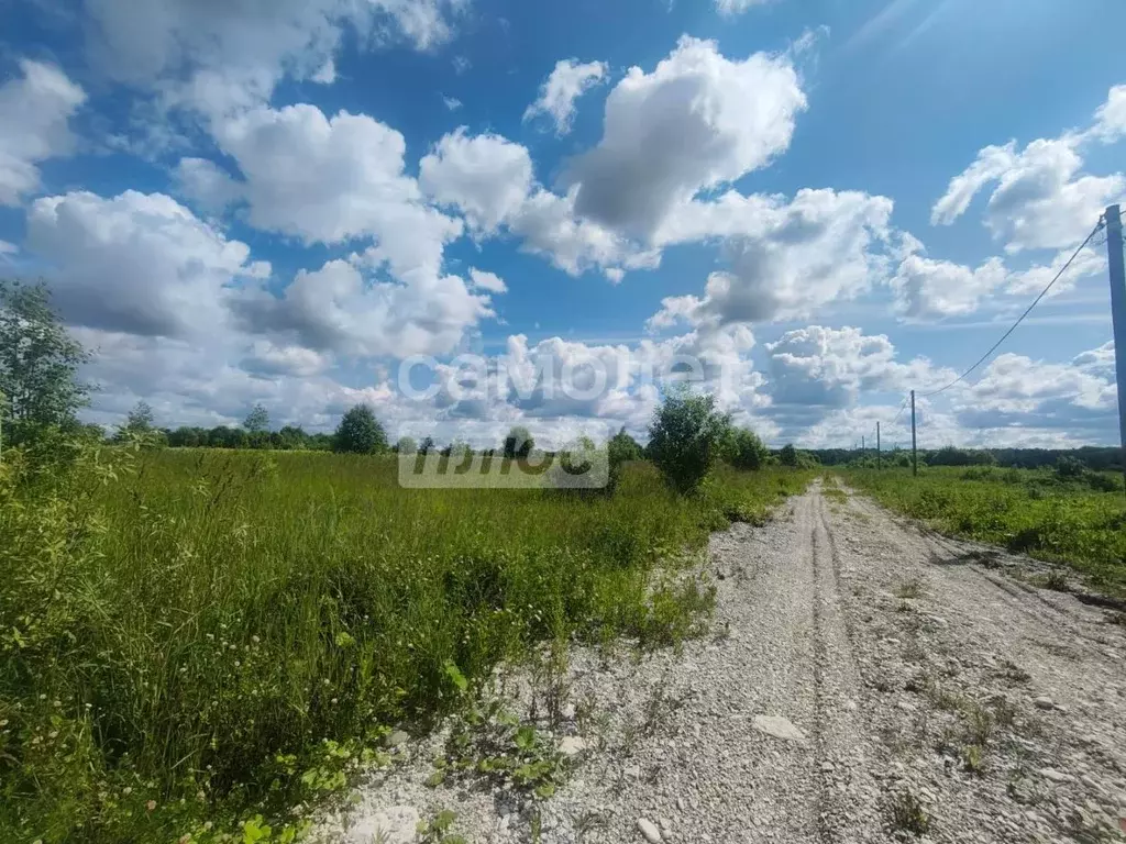 Участок в Ленинградская область, Тосненский район, Любанское городское ... - Фото 2
