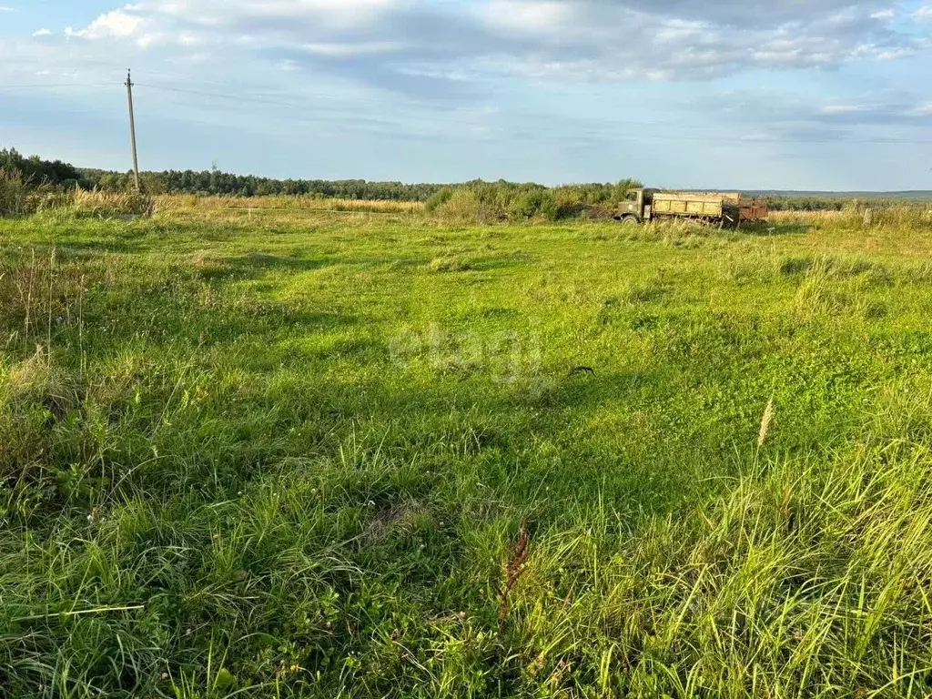 Участок в Калужская область, Тарусский район, Алекино с/пос, д. ... - Фото 2