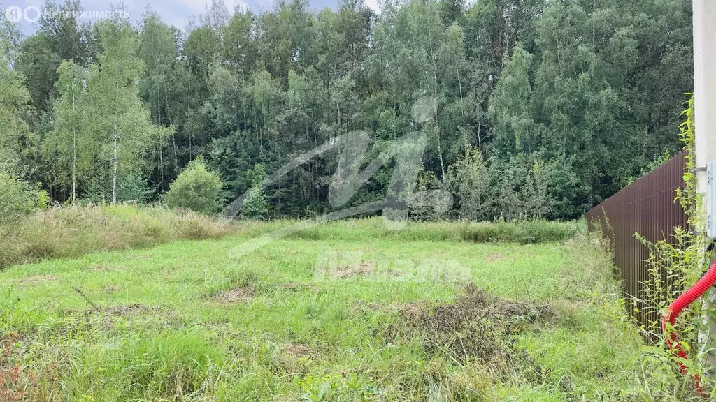 Участок в Московская область, Богородский городской округ, деревня ... - Фото 1