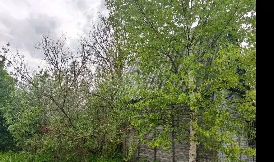 Участок в Калужская область, Обнинск Кварц СНТ, 404 (4.0 сот.) - Фото 1