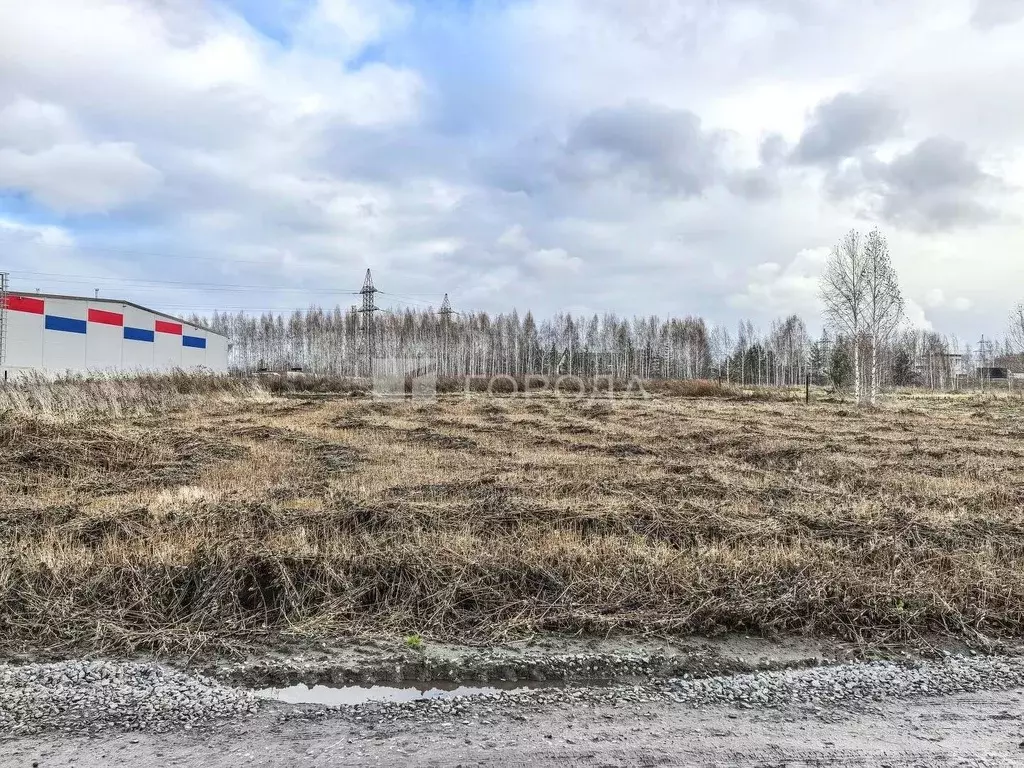 Участок в Новосибирская область, Новосибирский район, Станционный ... - Фото 1