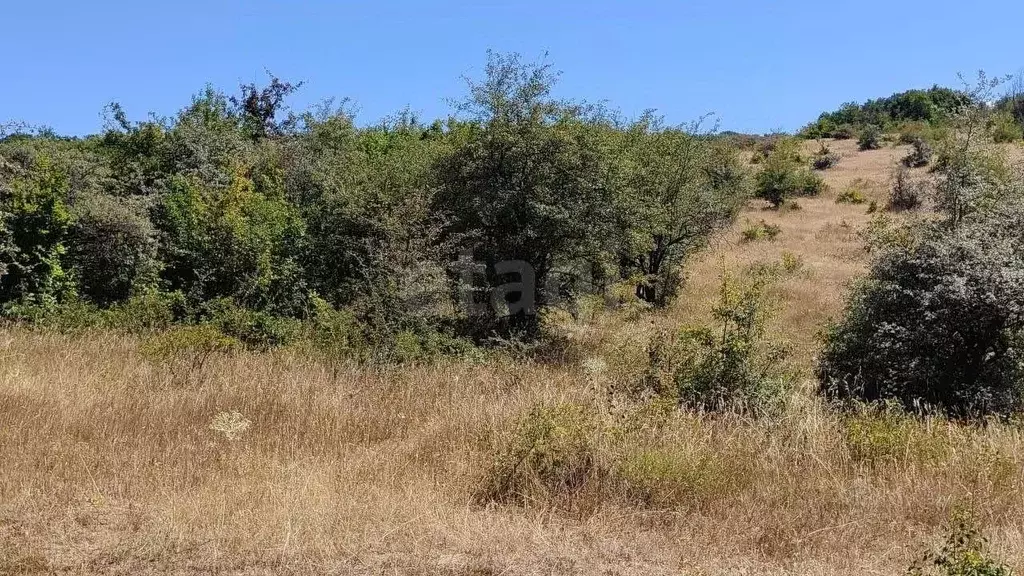 Участок в Крым, Кировский район, Старый Крым городское поселение ул. ... - Фото 1