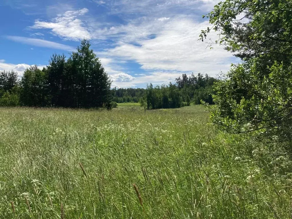 Участок в Ленинградская область, Приозерский район, Мельниковское ... - Фото 0