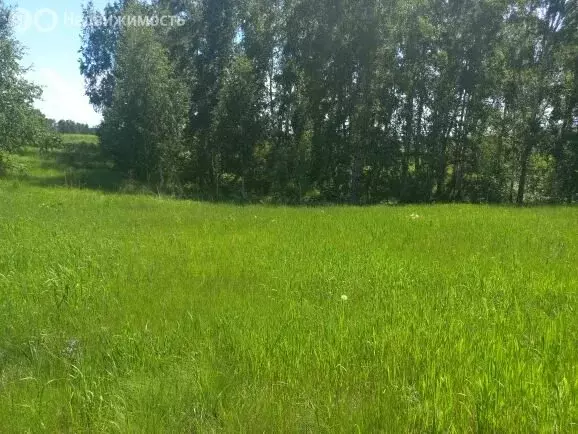 Участок в Новосибирский район, Морской сельсовет, село Ленинское (5 м) - Фото 2