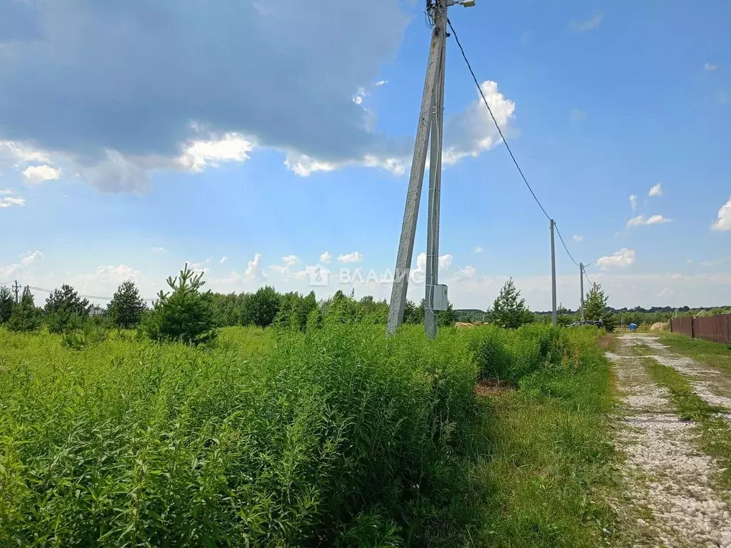 Участок в Владимирская область, Суздальский район, Боголюбовское ... - Фото 1