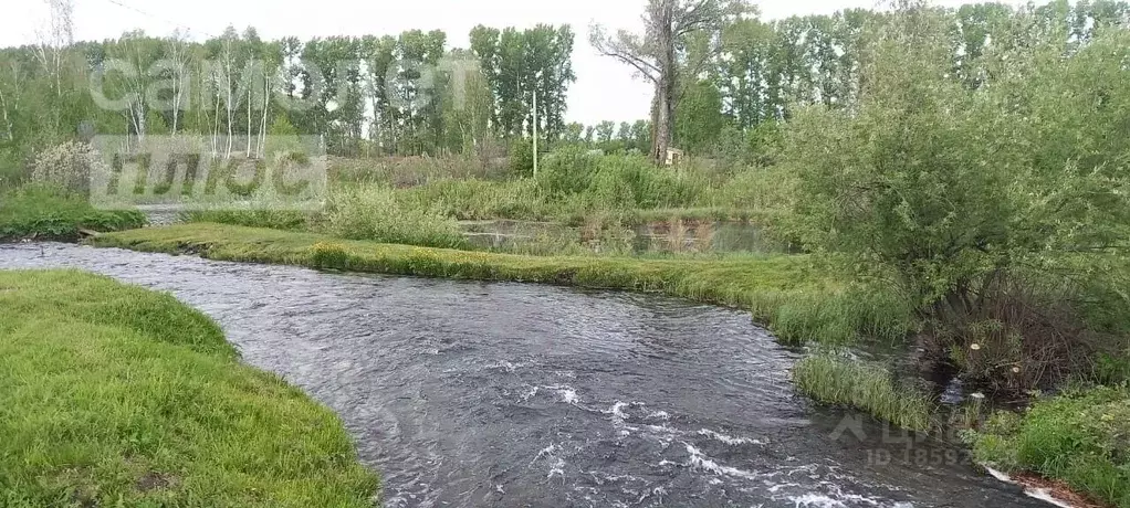 Участок в Алтайский край, Советский район, с. Урожайное Целинная ул. ... - Фото 1