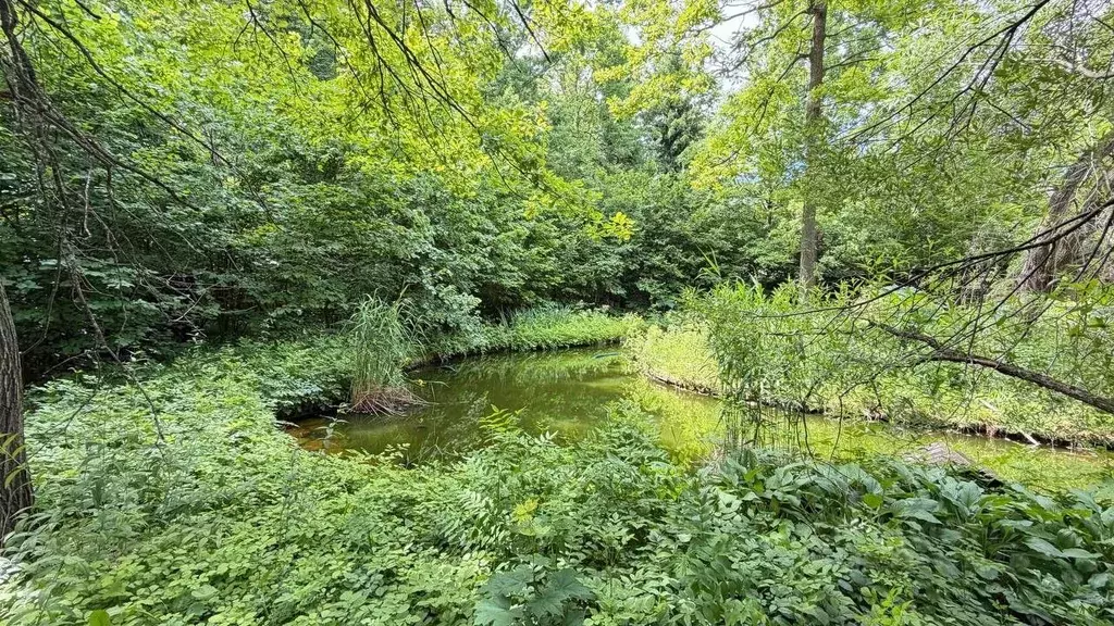 Участок в Московская область, Одинцовский городской округ, пос. ... - Фото 1