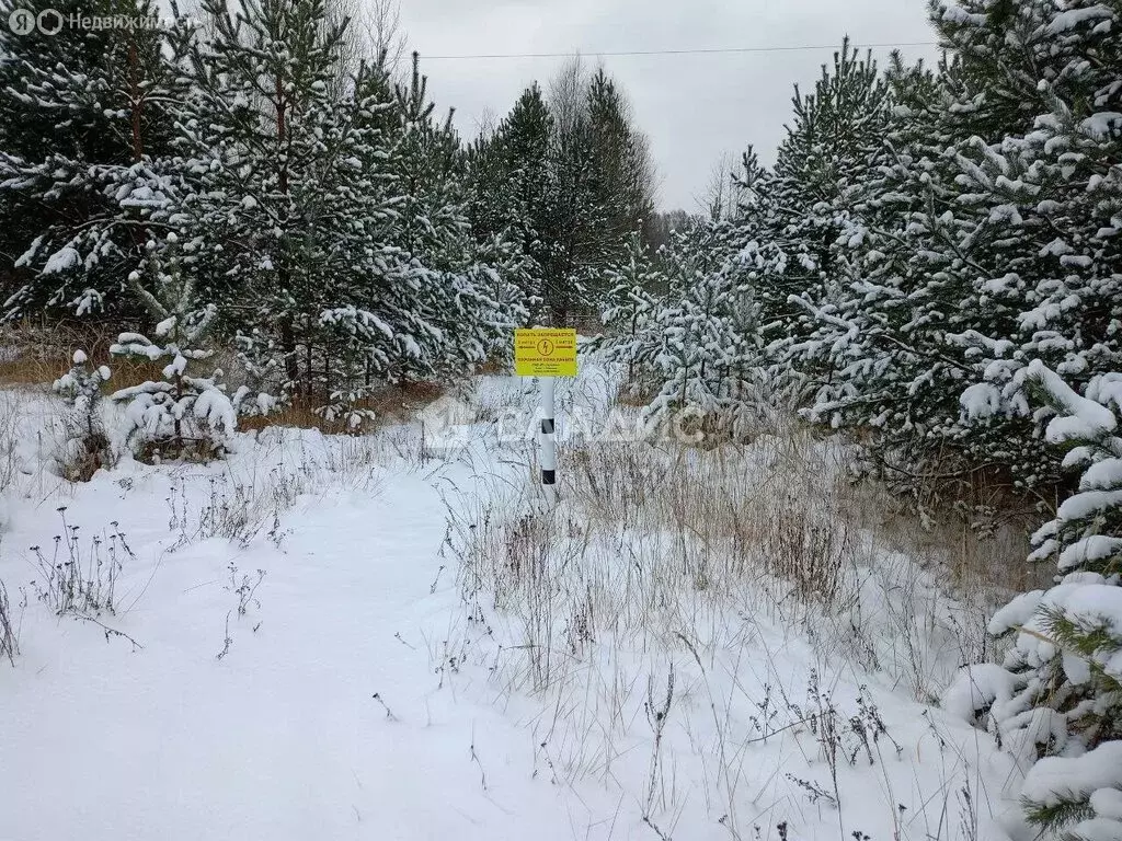 Участок в Судогодский район, муниципальное образование Лавровское, ... - Фото 1