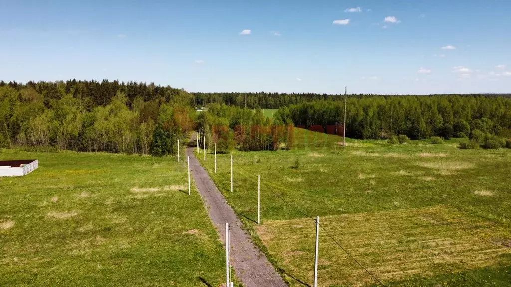 Участок в Московская область, Богородский городской округ, д. Черново  ... - Фото 0