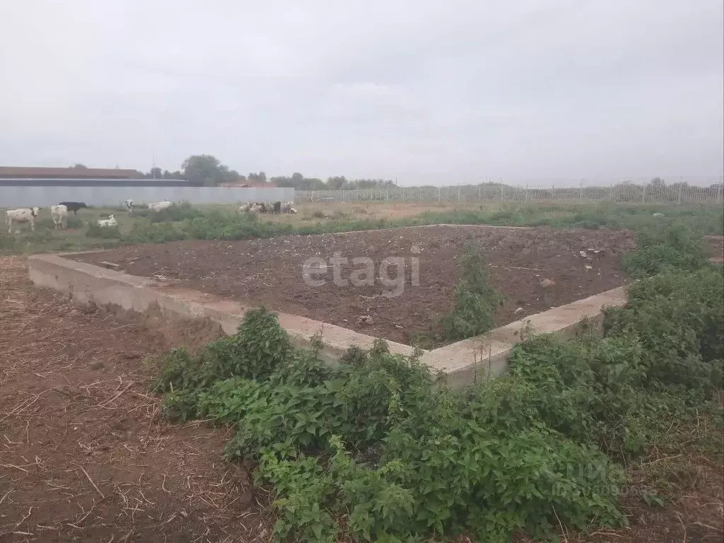 Участок в Самарская область, Ставропольский район, Нижнее Санчелеево ... - Фото 1