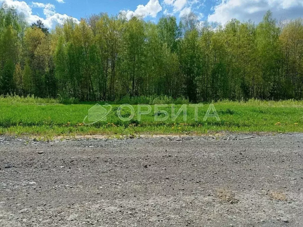 Участок в Тюменский район, село Кулига (13.5 м) - Фото 1