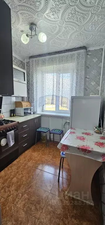1-к кв. Саратовская область, Маркс просп. Строителей (31.0 м) - Фото 1