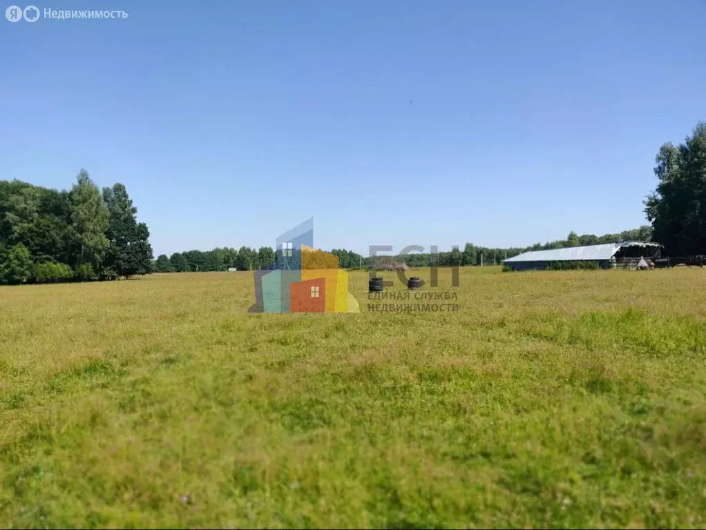 Участок в Тульская область, городской округ Тула, деревня Уваровка ... - Фото 2