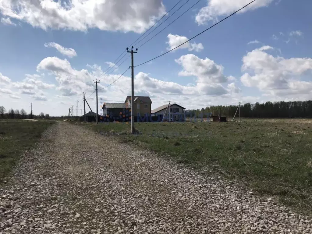 Участок в Нижегородская область, Богородский муниципальный округ, д. ... - Фото 1