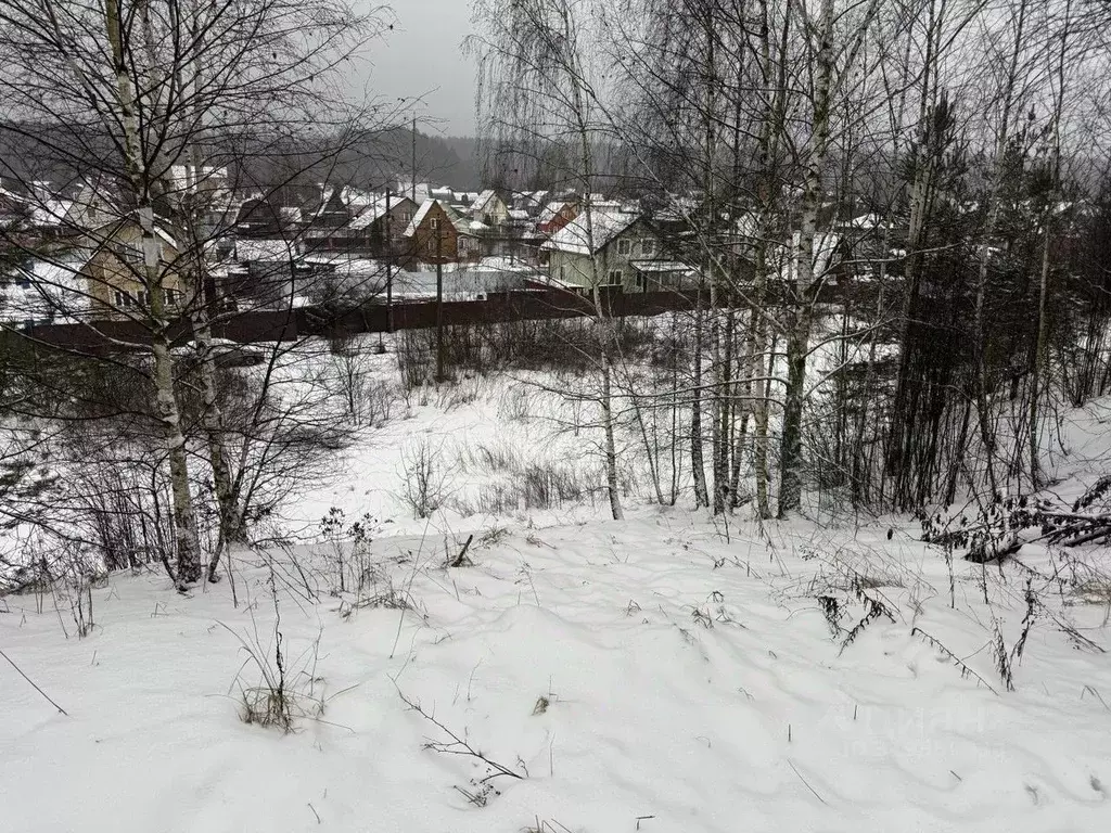 Участок в Московская область, Пушкинский городской округ, д. Лепешки  ... - Фото 0