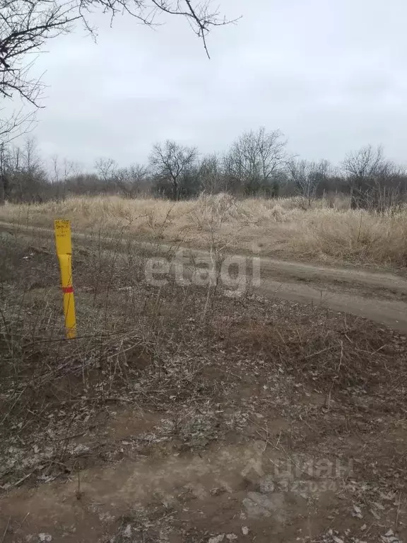 Участок в Ростовская область, Азов Азовский район, Мичуринец-3 мкр,  ... - Фото 1