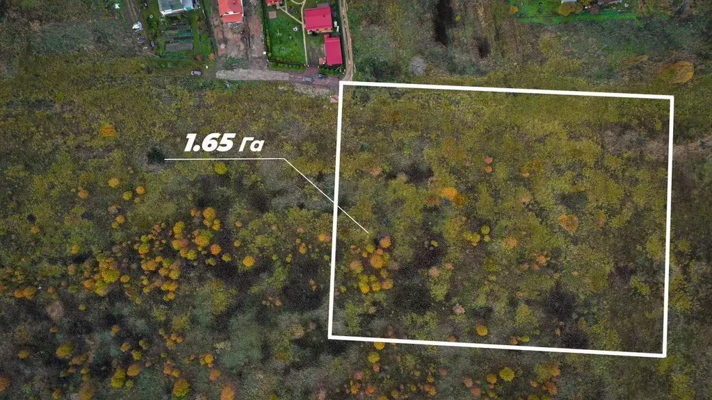 Участок в Ленинградская область, Ломоносовский район, Лопухинское ... - Фото 1