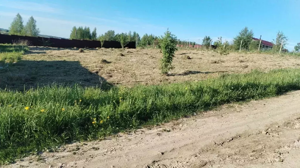 Продается участок в д. Благовещенское - Фото 2