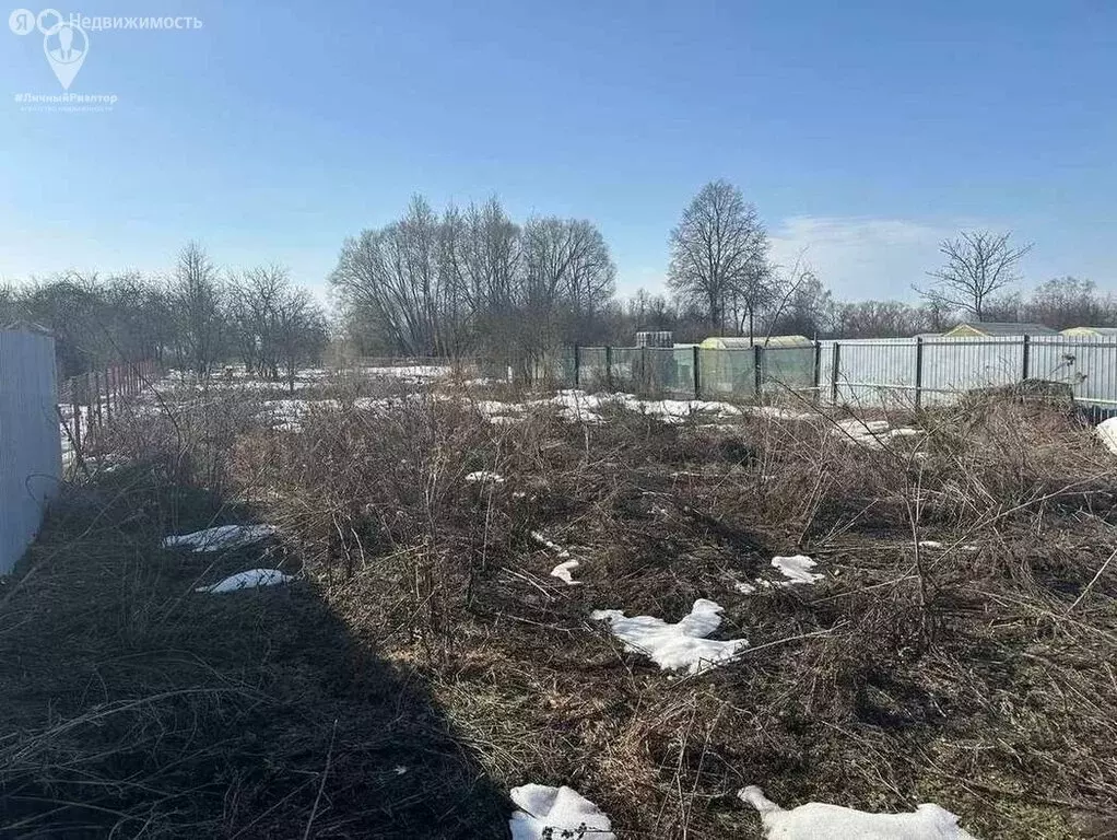 Участок в Рязанский муниципальный округ, деревня Насурово (16.5 м) - Фото 1