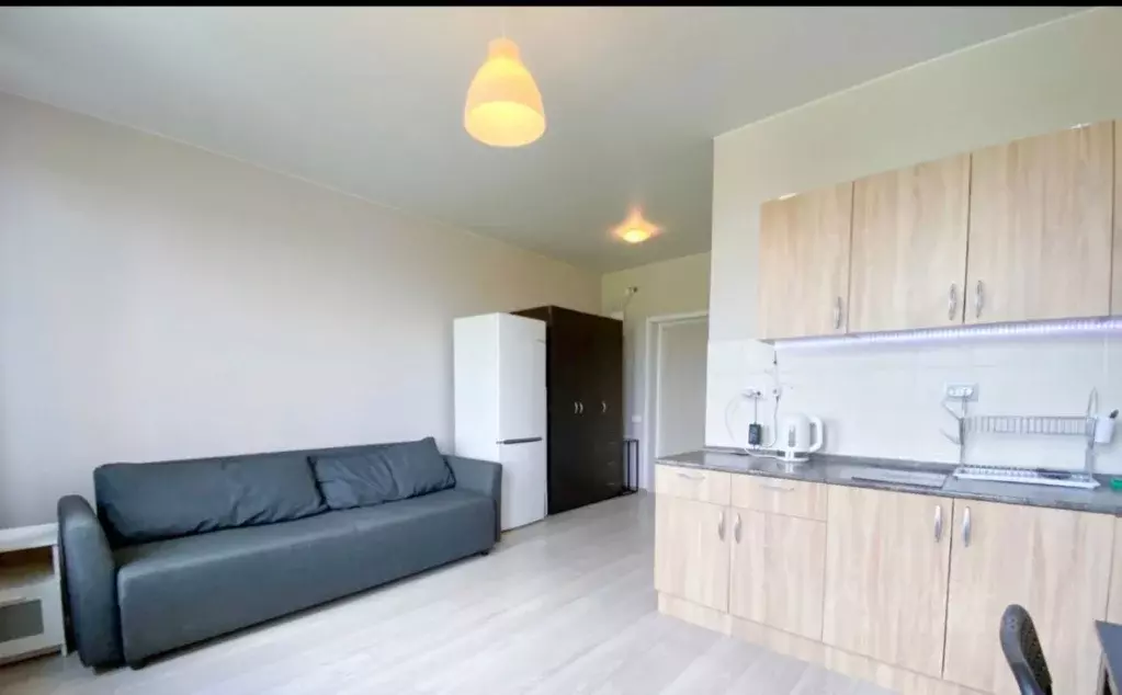 Студия Московская область, Красногорск городской округ, пос. ... - Фото 2