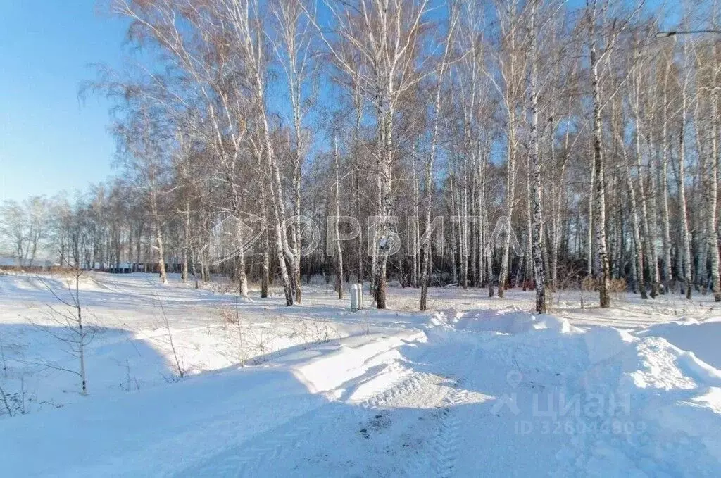 Участок в Тюменская область, Тюменский муниципальный округ, с. Луговое ... - Фото 1