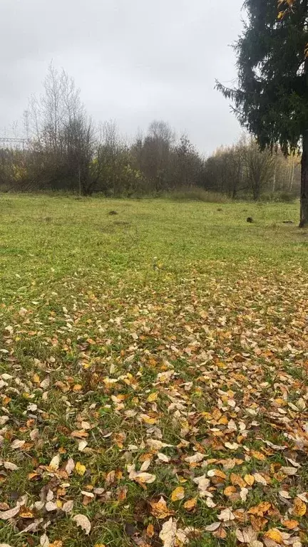 Участок в Владимирская область, Юрьев-Польский муниципальный округ, с. ... - Фото 1