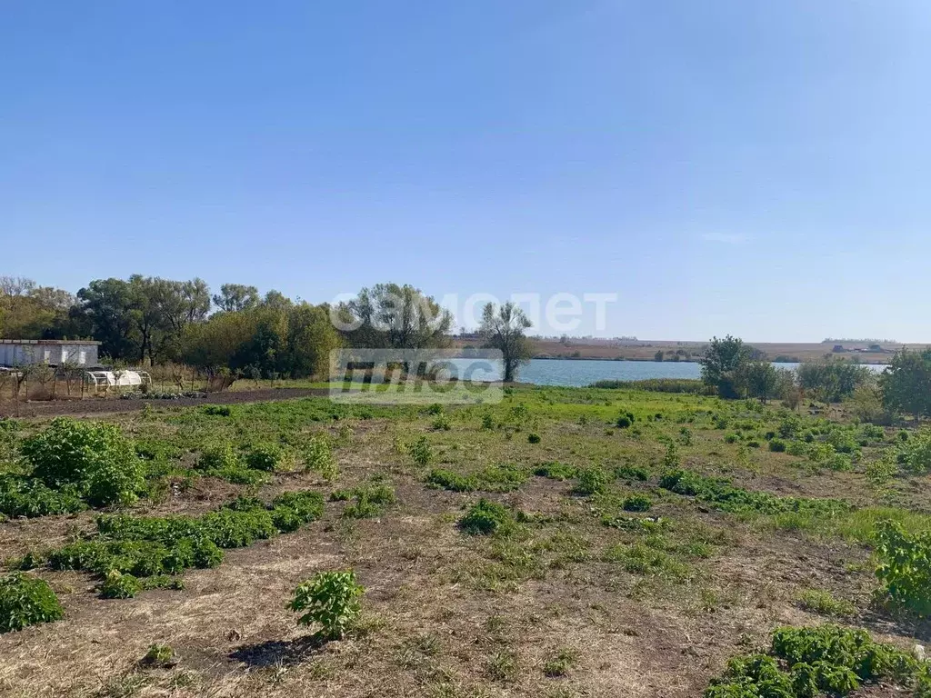 Участок в Курская область, Курский район, Лебяженский сельсовет, д. ... - Фото 2