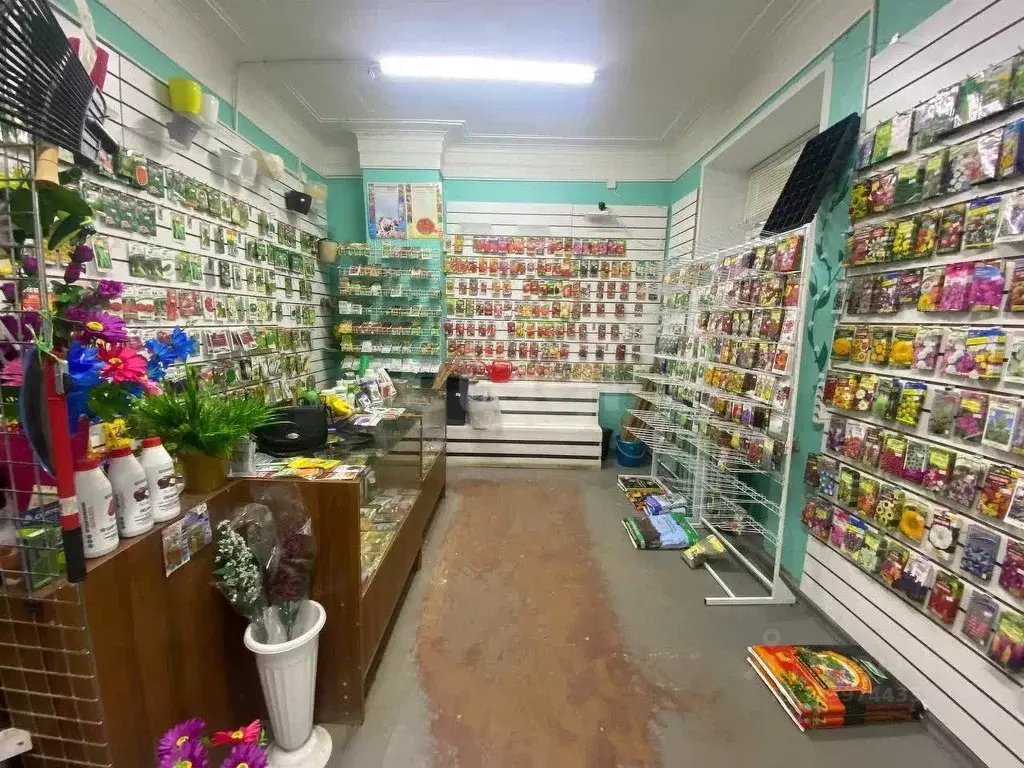 Помещение свободного назначения в Тверская область, Тверь просп. ... - Фото 1