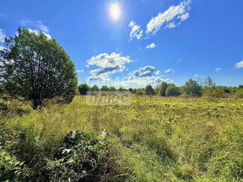 Участок в Ярославская область, Переславль-Залесский муниципальный ... - Фото 1