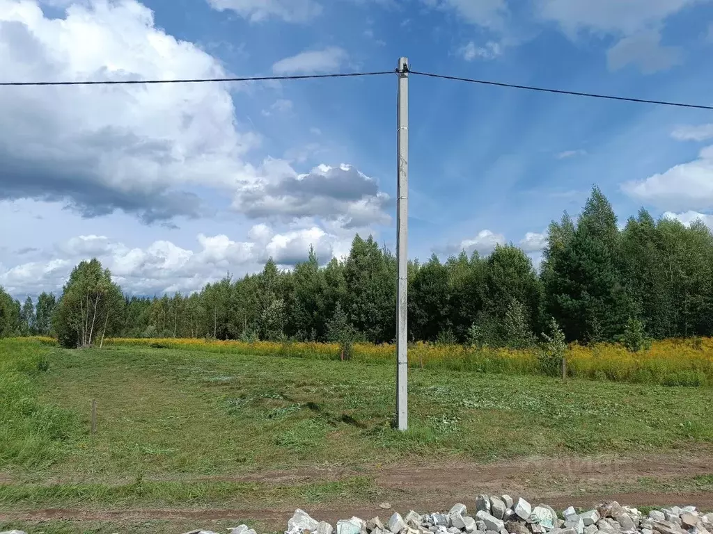 Участок в Нижегородская область, Городецкий муниципальный округ, д. ... - Фото 2