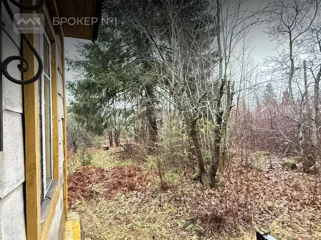 Участок в Ленинградская область, Выборгский район, Рощино пгт ул. ... - Фото 2