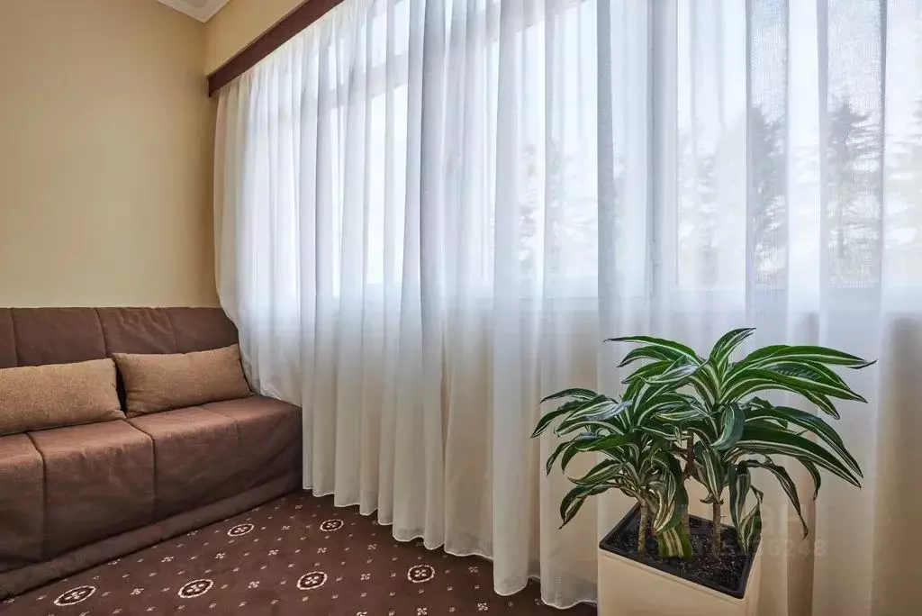 Комната Краснодарский край, Сочи ул. Калинина, 4 - Фото 2