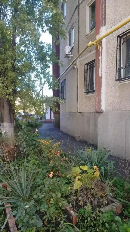 2-к кв. Ростовская область, Ростов-на-Дону ул. Лелюшенко, 5 (52.0 м) - Фото 1