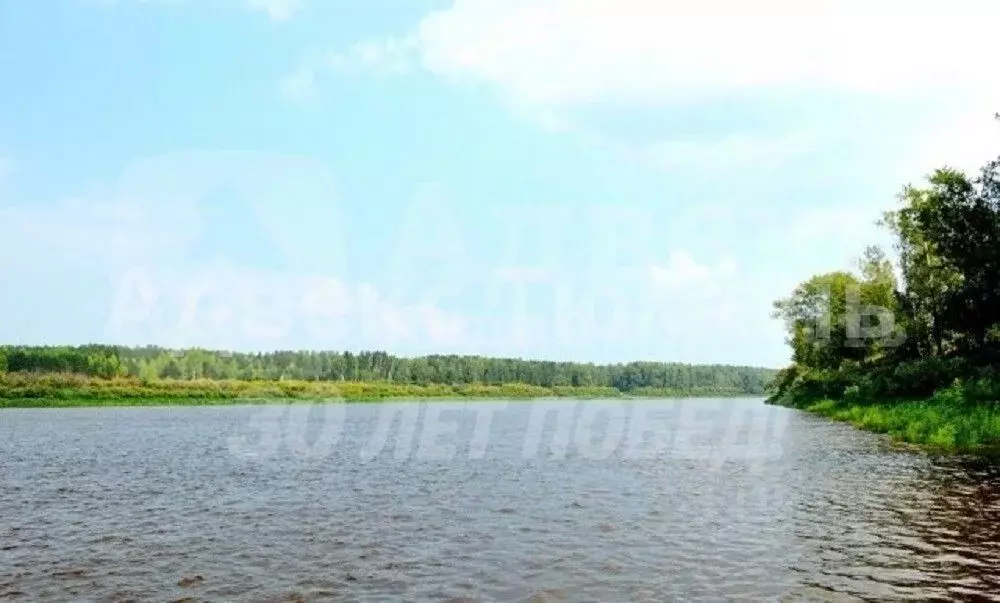 Участок в Тюменская область, Тюменский район Р-404, 35-й км (300.0 ... - Фото 2