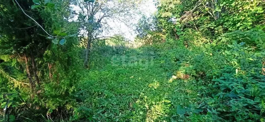 Участок в Нижегородская область, Дальнеконстантиновский муниципальный ... - Фото 1