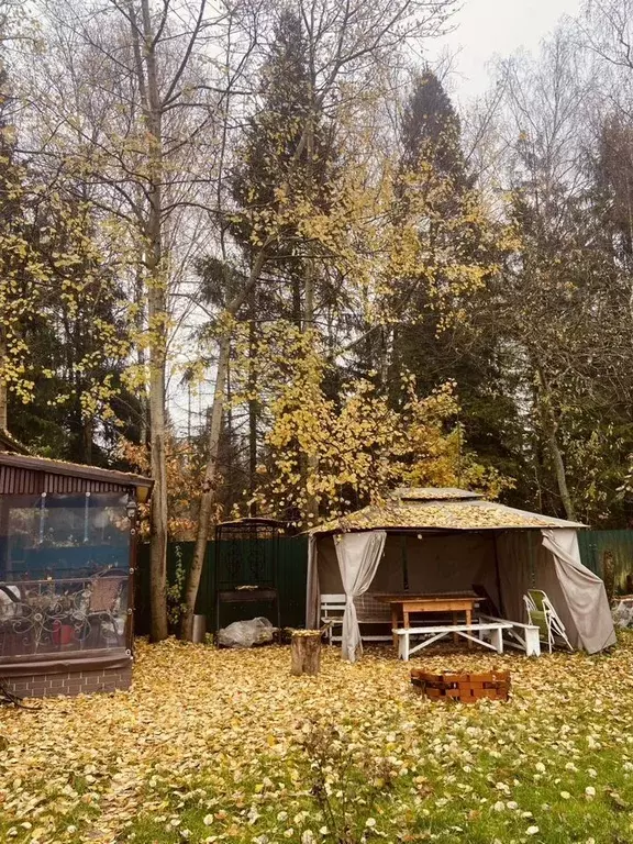 Дом в Московская область, Щелково городской округ, Дружный СНТ 247 ... - Фото 2