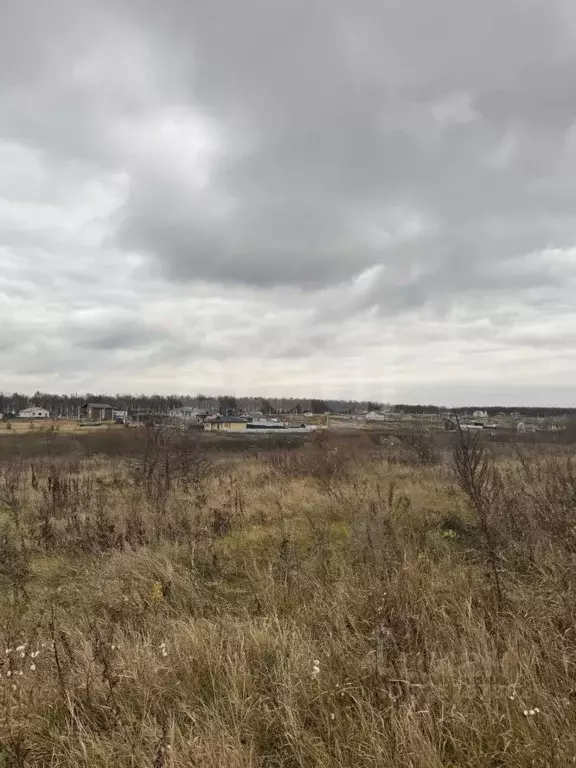 Участок в Воронежская область, Семилукский район, с. Девица ул. ... - Фото 1