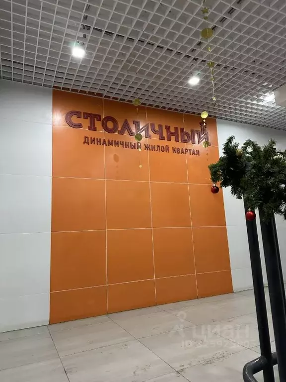 Студия Московская область, Балашиха ул. Безымянная, 16 (20.0 м) - Фото 1