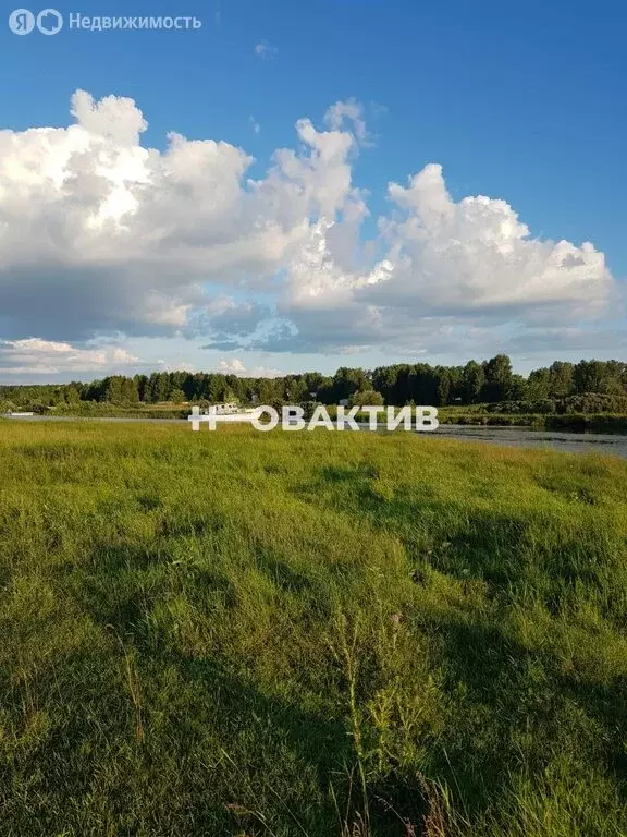 Участок в Ордынский район, дачное некоммерческое товарищество ... - Фото 0