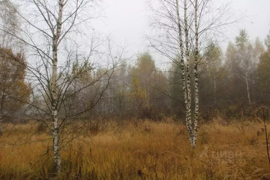 Участок в Московская область, Шаховская муниципальный округ, д. ... - Фото 1