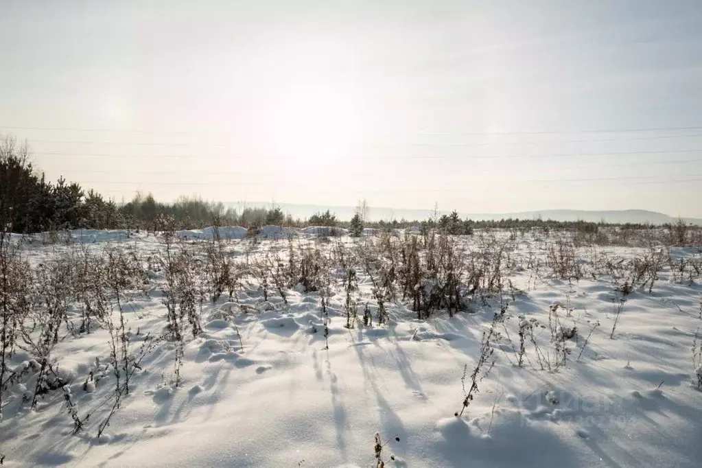 Участок в Иркутская область, Иркутский муниципальный округ, с. ... - Фото 2
