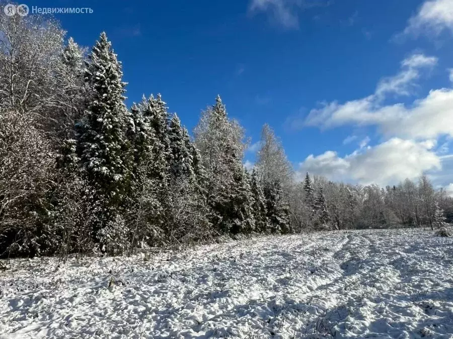 Участок в Бережки, Рождественская улица (8.34 м) - Фото 2