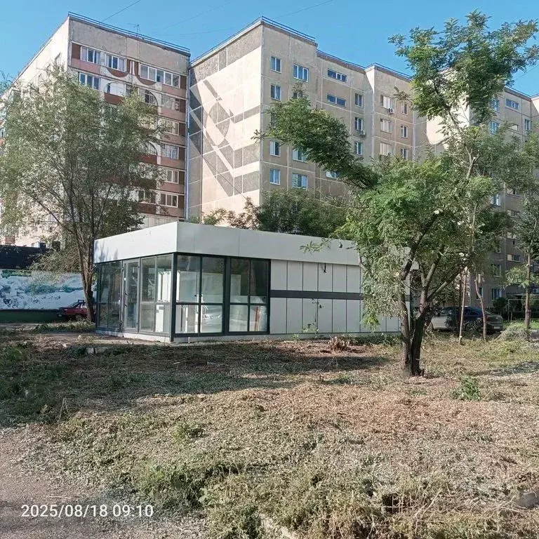 Торговая площадь в Оренбургская область, Оренбург ул. Терешковой, ... - Фото 1